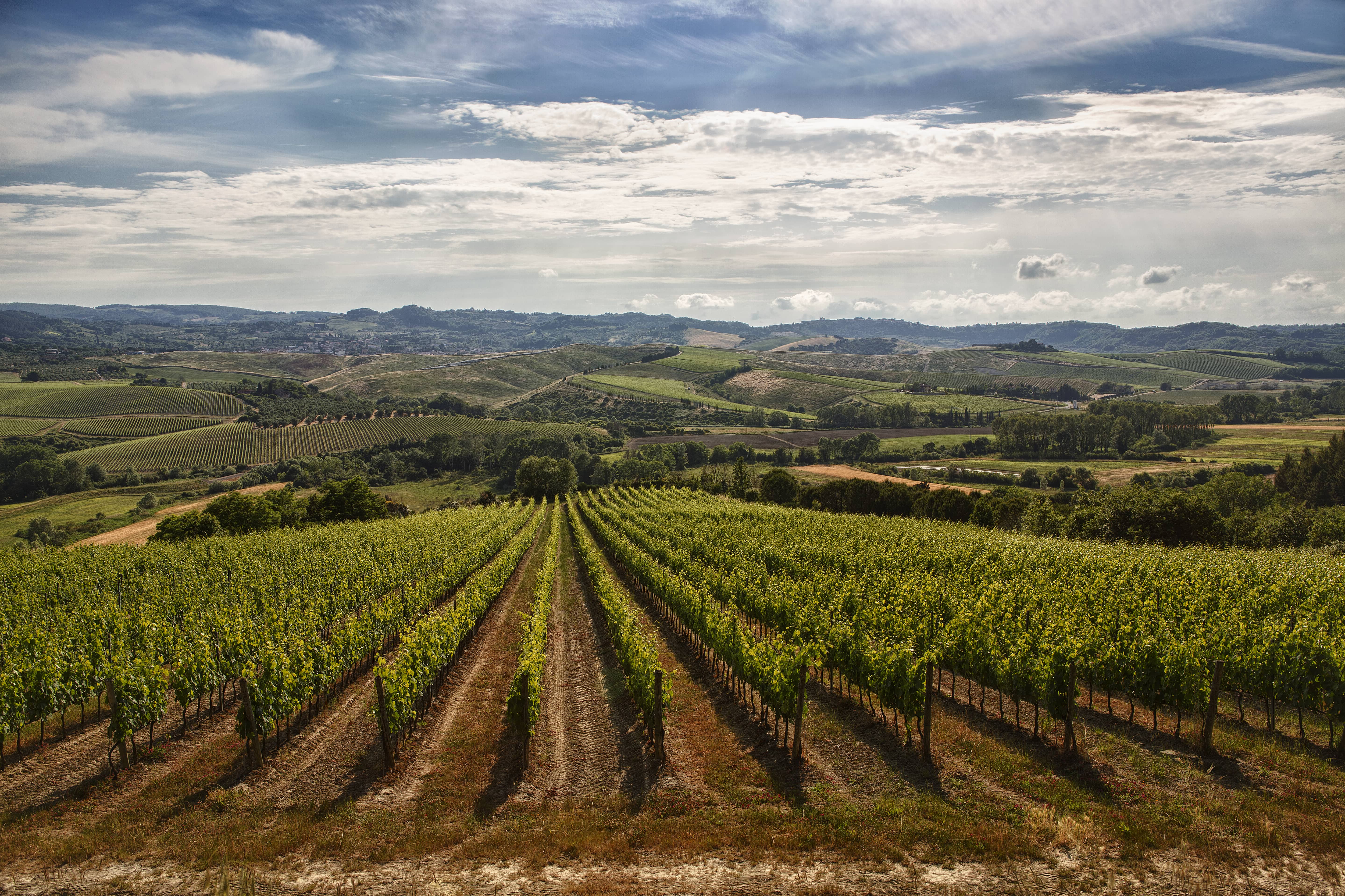 Cantine Aperte provincia Pisa articolo guida